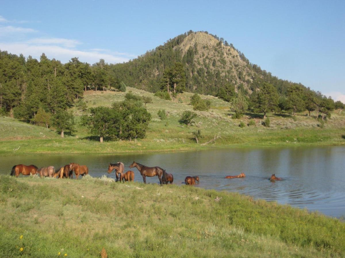 Lake Guest Ranch Devils Tower Exterior foto