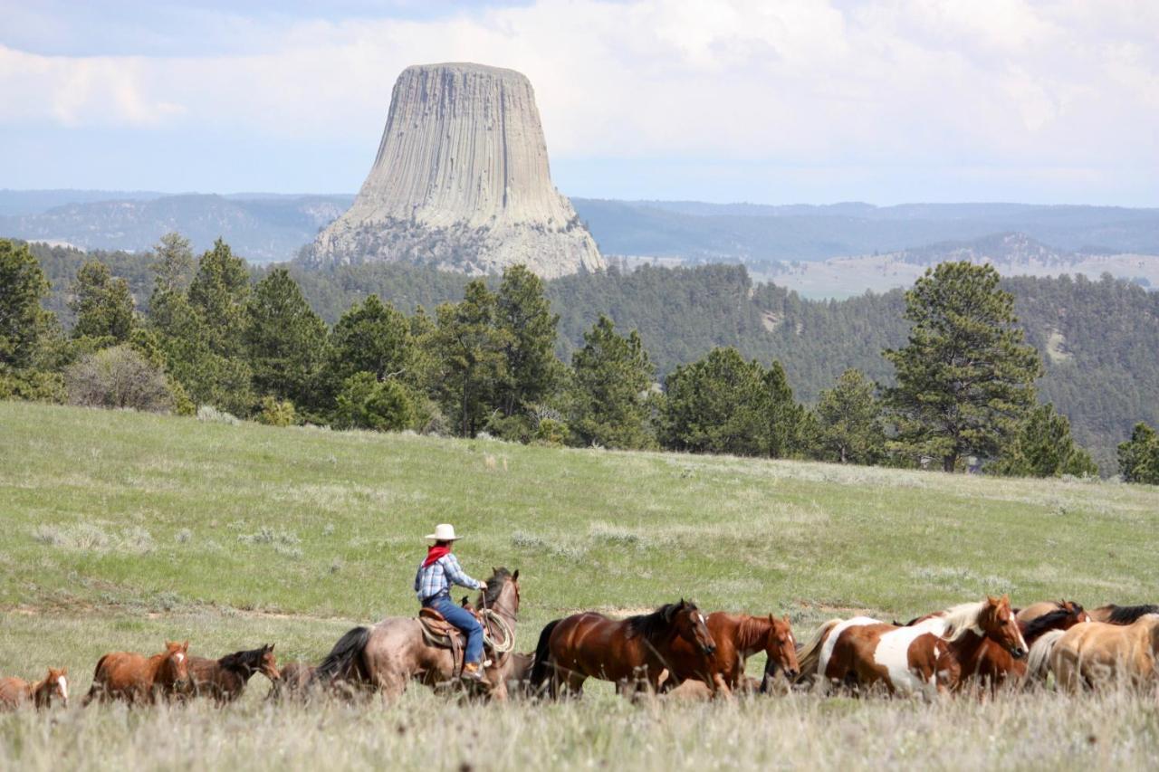 Lake Guest Ranch Devils Tower Exterior foto